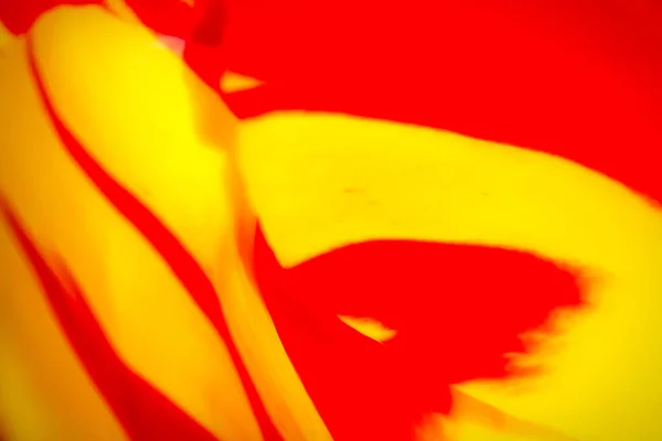 Красный Желтый Абстрактные Вспышки Фона Движением Различных Фоновых Применений — стоковое фото