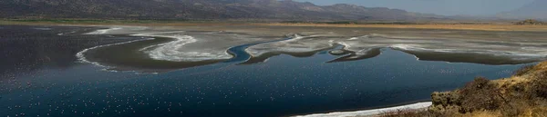 Rive Panoramique Lac Natron Vue Aérienne Tanzanie — Photo