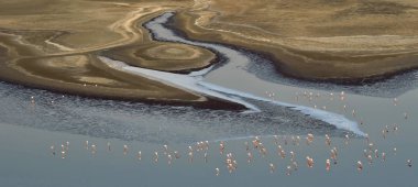 Flamingolar su Gölü kıyısındaki Natron yakınındaki. Havadan görünümü. Tanzanya.