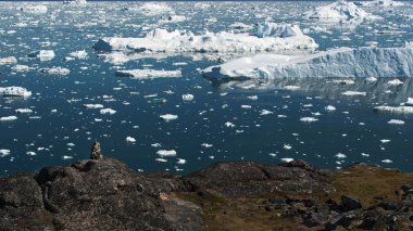 Ilulissat buz arctic okyanusta buzdağları yanıyor. Doğa ve manzara Grönland.