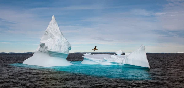 Grönland Kıyılarında Kapalı Suda Yüzen Buzdağı Doğa Manzara Grönland — Stok fotoğraf
