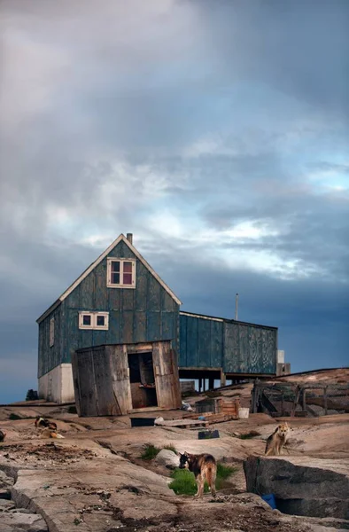 岩の多い海岸 犬の家 グリーンランド犬 Rodebay 決済で休んでいます Rodebay 西グリーンランド — ストック写真