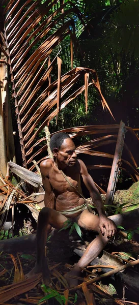Άγρια Ζούγκλα Δυτική Παπούα Νέα Γουινέα Την Ινδονησία Ιούνιος 2016 — Φωτογραφία Αρχείου