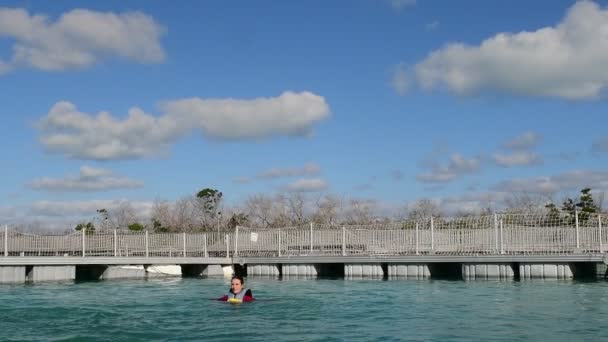 Mujer Saltando Del Agua Con Delfines Nadando Con Delfines Vídeo — Vídeos de Stock