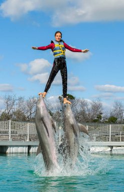 Kadın yunuslar tarafından sudan dışarı itti, Yunuslarla Yüzme.