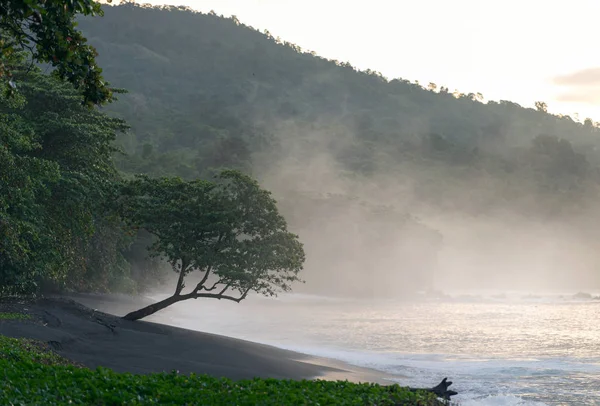 Playa Volcánica Arena Negra Parque Nacional Tangkoko Temprano Mañana Fogy — Foto de Stock