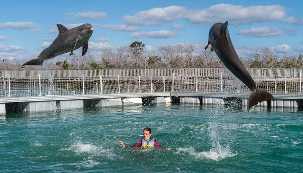 물에서 돌고래 점프와 — 스톡 사진