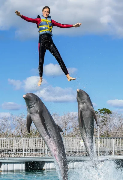 Kobieta Wypchnięta Wody Przez Delfiny Pływanie Delfinami — Zdjęcie stockowe