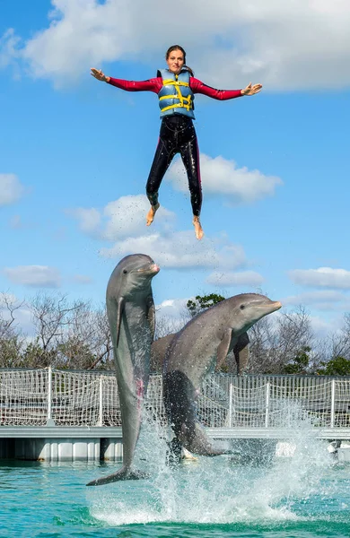 Kobieta Wypchnięta Wody Przez Delfiny Pływanie Delfinami — Zdjęcie stockowe