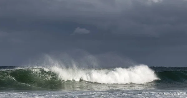 Seascape Erőteljes Óceáni Hullám Felszínen Óceán Hullám Szünetek Egy Sekély — Stock Fotó