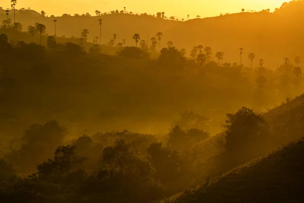 Vista Mañana Niebla Temprana Isla Rinca Parque Nacional Komodo Rinca — Foto de Stock