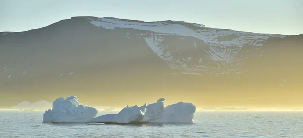 Icebergs Disko Bay Groenland Matin Brumeux — Photo