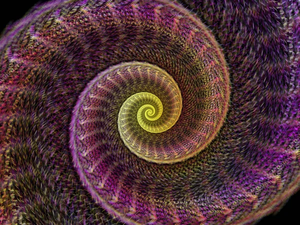 Spiraal Geometrie Serie Samenstelling Van Spinnen Draaikolk Van Fractal Elementen — Stockfoto