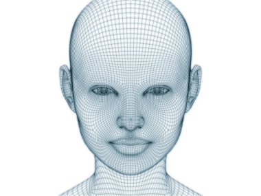 İnsan kafası ve yüzünün üç boyutlu görüntülenmesi illüstrasyon ve tasarım için tel örgüsü olarak kullanılacak