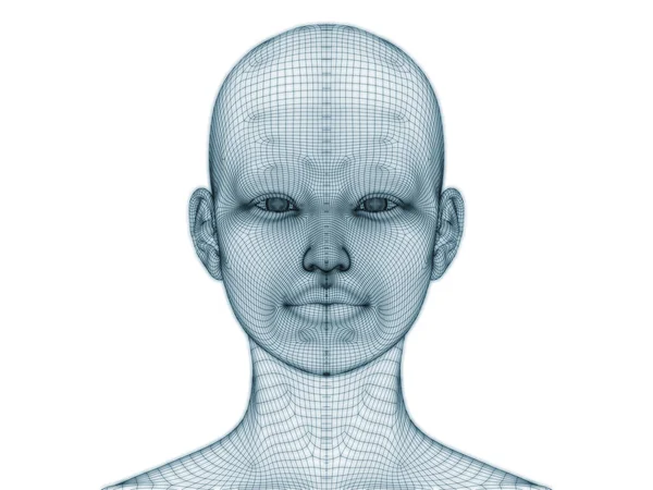 Rendering Ludzkiej Głowy Twarzy Jako Siatki Drucianej Stosowania Ilustracji Konstrukcji — Zdjęcie stockowe