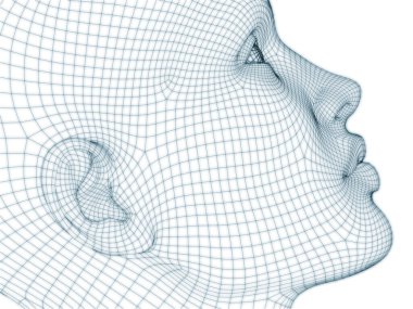 İnsan kafası ve yüzünün üç boyutlu görüntülenmesi illüstrasyon ve tasarım için tel örgüsü olarak kullanılacak