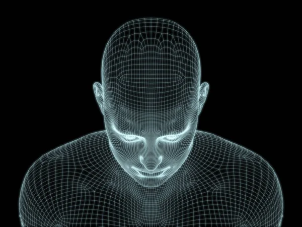 Render Human Head Wire Mesh Use Illustrations Technology Education Computer — Stockfoto