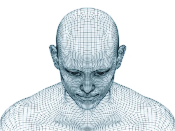 Rendering Human Head Face Wire Mesh Use Illustration Design — Stock Photo, Image