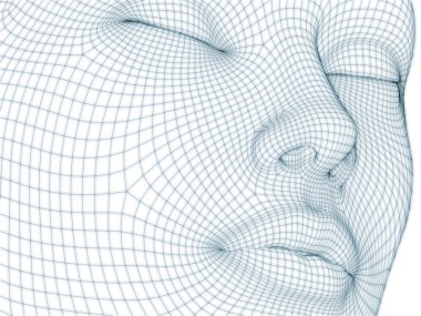 İnsan kafası ve yüzünün üç boyutlu görüntülenmesi illüstrasyon ve tasarım için tel örgüsü olarak kullanılacak