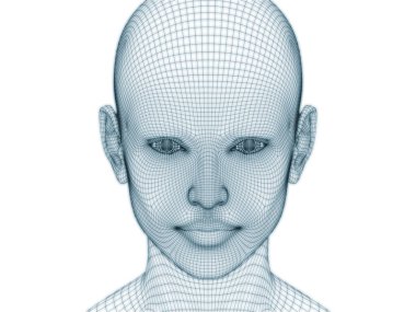 İnsan kafası ve yüzünün üç boyutlu görüntülenmesi illüstrasyon ve tasarım için tel örgüsü olarak kullanılacak
