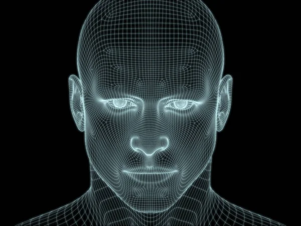 3D技術 コンピュータサイエンスのイラストで使用するためのワイヤメッシュ内の人間の顔のイラスト — ストック写真