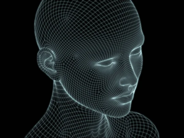 Human Head Close Render Wire Mesh Use Illustrations Technology Education — Stock fotografie