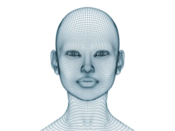 Vykreslování Lidské Hlavy Obličeje Jako Drátěné Pletivo Pro Ilustraci Design — Stock fotografie