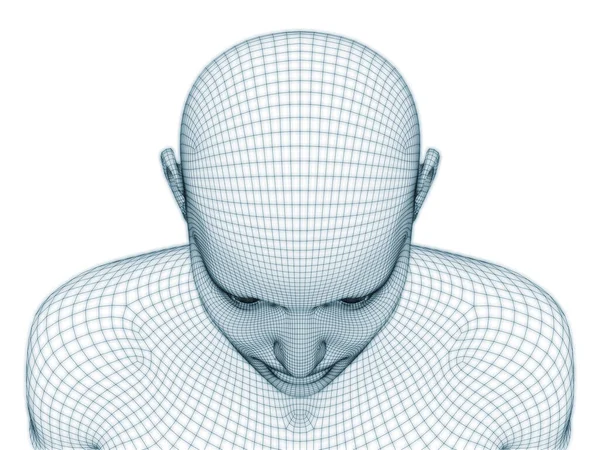 人脸三维绘制为线状网格 用于图解和设计 — 图库照片
