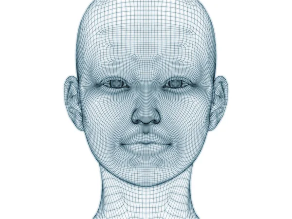 Rendering Human Head Face Wire Mesh Use Illustration Design — Stock Photo, Image