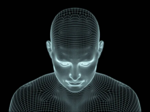 Render Human Head Wire Mesh Use Illustrations Technology Education Computer — Stockfoto