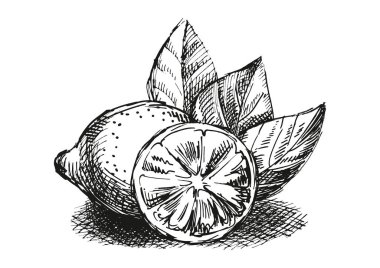 Limon ile kroki kompozisyon