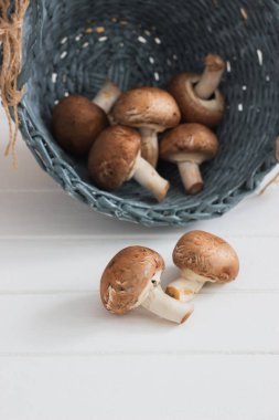 Kahverengi ham petrol beyaz arka plan seçici odak.