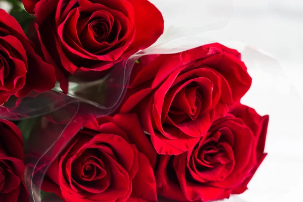 纹理红色玫瑰花束白色背景复制空间 — 图库照片