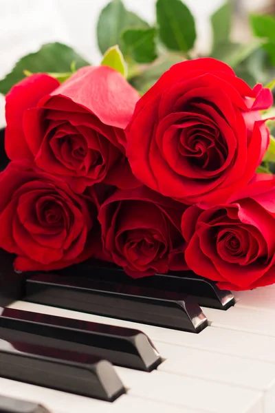 红玫瑰钢琴钥匙浪漫音乐背景 — 图库照片