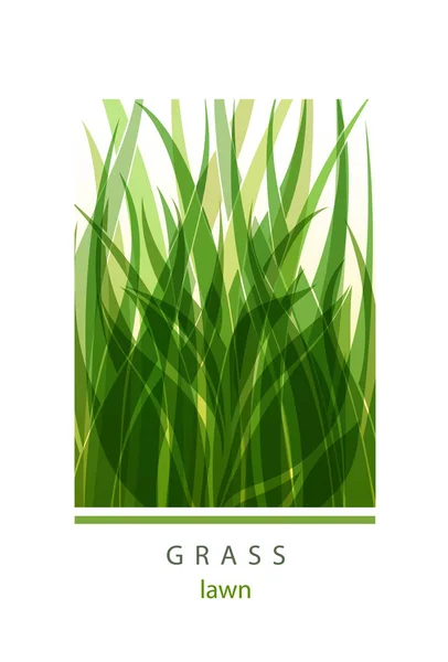 Grass Label abstract design. Green icon. Beautiful Logo Garden C — Stock Vector