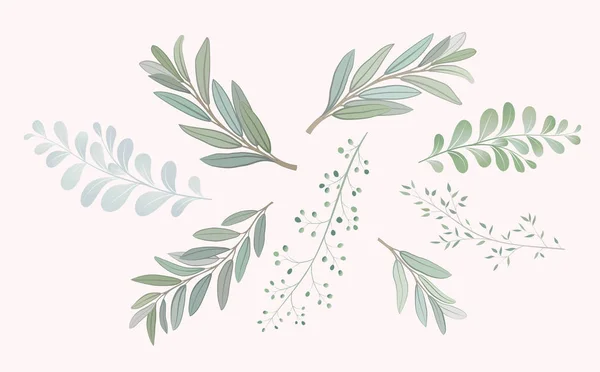 葉を持つ美しい小枝を設定します。結婚式髪飾りのコンセプト。水彩画の模倣は、白で隔離. — ストックベクタ