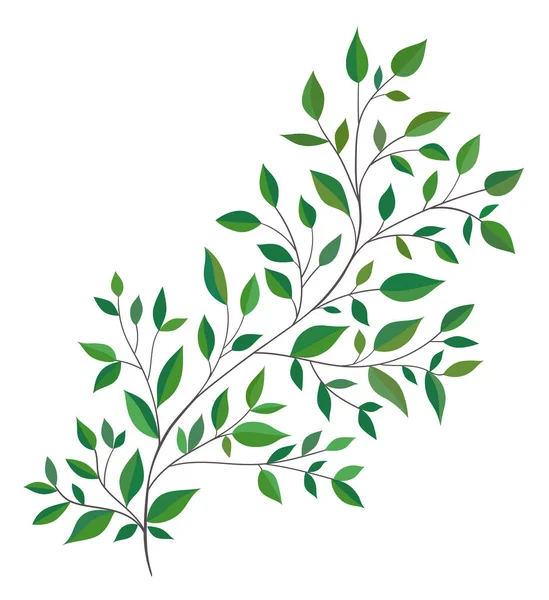 푸른 잎을 가진 아름다운 나뭇가지. 손으로 그린 벡터 삽화. — 스톡 벡터