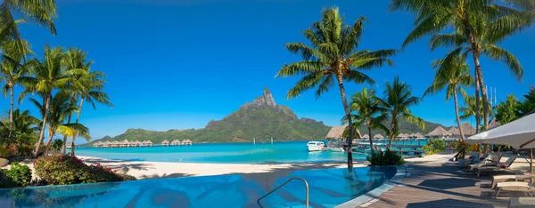 Bora Bora panoramik görünümü ile palmiye ağaçları, Fransız Polinezyası