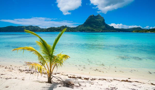 Spiaggia Bora Bora Tahiti Polinesia Francese — Foto Stock