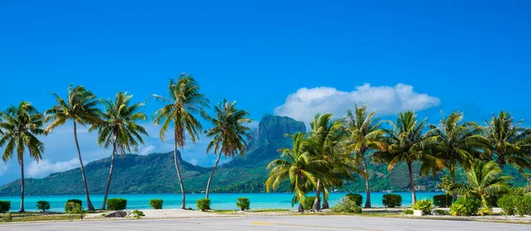 Panoramatický Pohled Bora Bora Tahiti — Stock fotografie