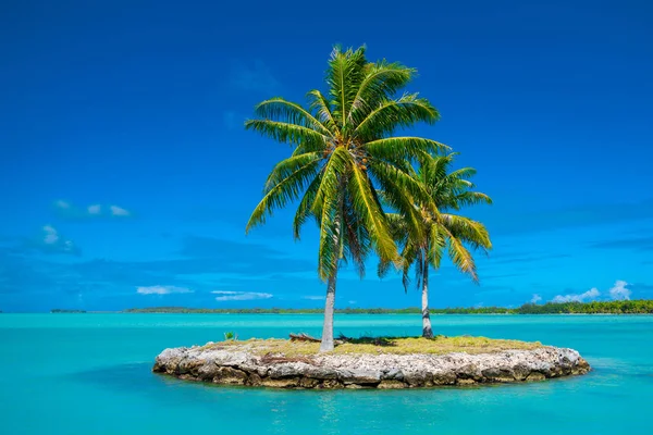 Bora Bora — Stock Photo, Image