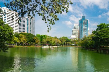 Lumphini Park. Hangi şehir Bangkok, Tayland, Thailand genel bir park mı