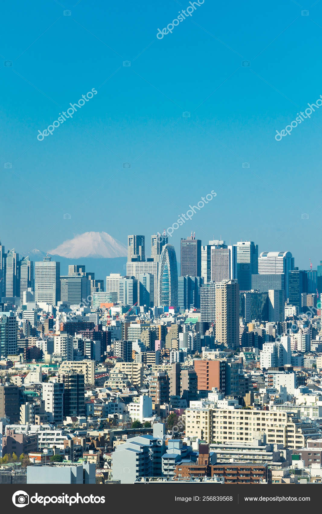 Tokyo Skyline With Mountain Fuji Stock Photo C Cupertino 256839568