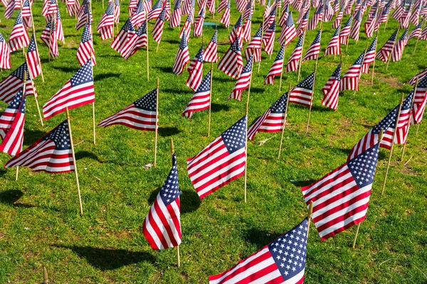 Americam flags — Stock Photo, Image