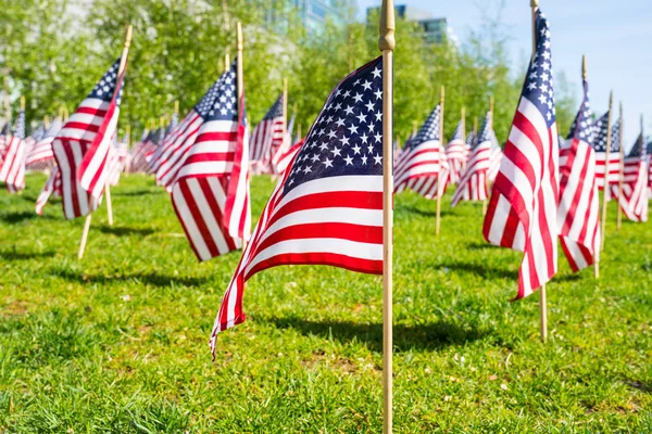 Bandeiras americanas — Fotografia de Stock