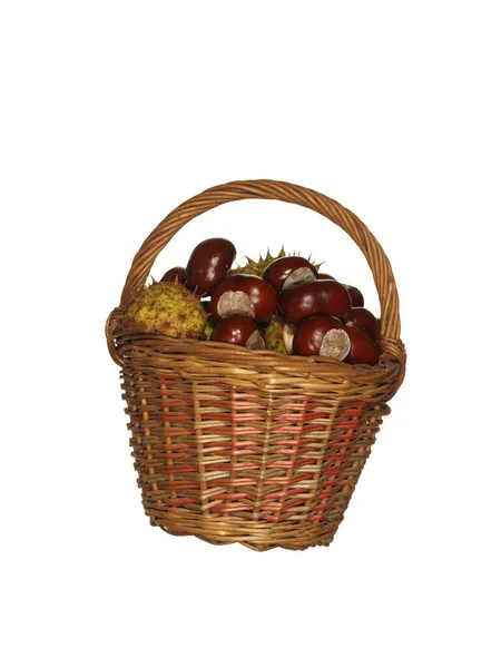 Basket woven from willow twigs filled with wild chestnut fruits — Stock Photo, Image