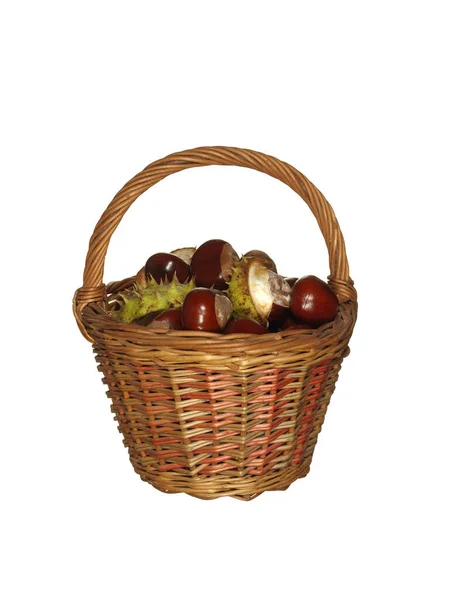 Basket woven from willow twigs filled with wild chestnut fruits — Stock Photo, Image