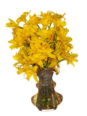 Bir vazo dolusu sarı çiçekli cam vazo. Beyaz arka planda izole edilmiş. Çok güzel çiçekler..        