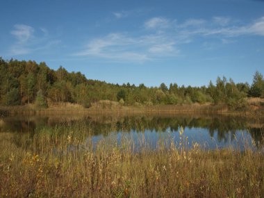 Sonbahar manzarası. Sonbahar gökyüzü ve orman göletin su yüzeyine yansıyor..       