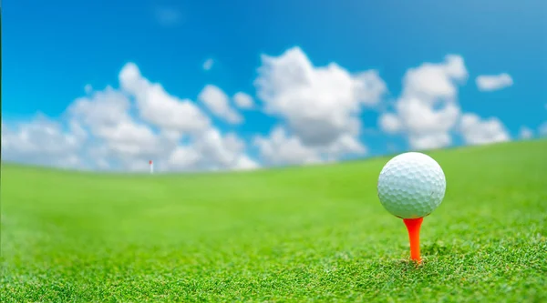 Bliska piłka golfowa na zielonym polu trawy — Zdjęcie stockowe